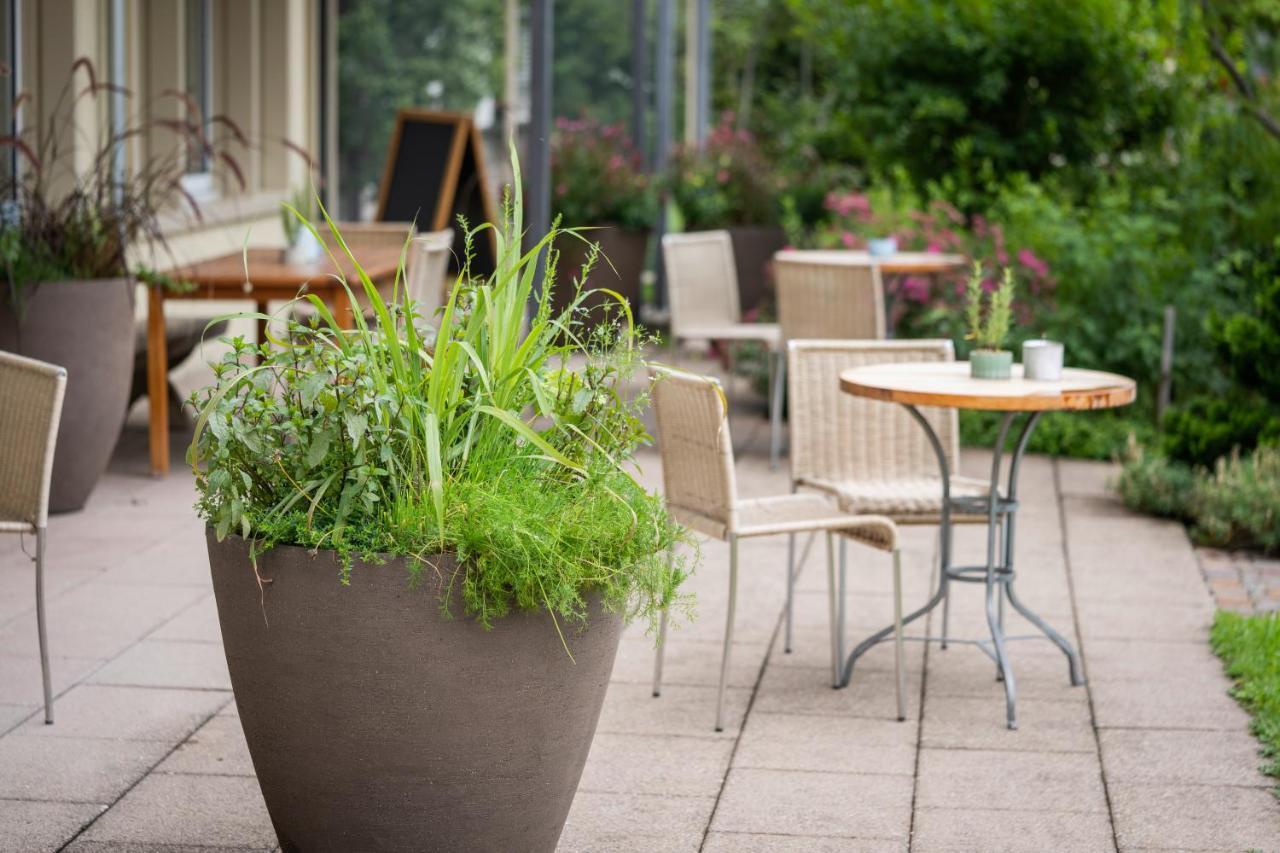 Vegan Health Hotel Sonnenberg Glutenfrei Schwellbrunn Esterno foto